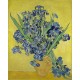 Vincent Van Gogh - Iris