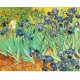 Vincent Van Gogh - les Iris