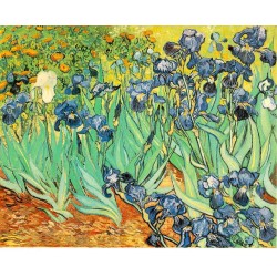 Vincent Van Gogh - les Iris
