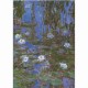 Claude Monet - Nénuphar