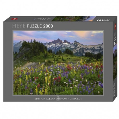 Puzzle 2000 pièces Tatoosh mountains