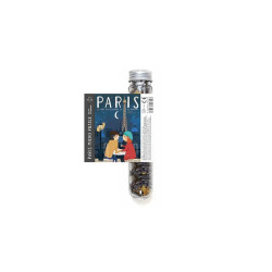 Micro Puzzle Paris Notre-Dame