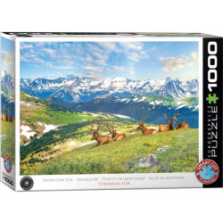 Wapiti de Montagne, Colorado USA