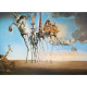 Salvador DALI - The Temptation of St. Anthony