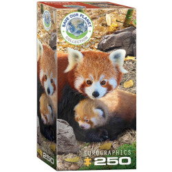 Collection Save the Planet - Pandas Roux