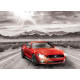 Ford Mustang GT : Fifty Years of Power