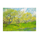 Vincent Van Gogh - Verger Fleurissant (Orchard in Blossom)