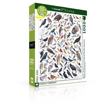 Pedro Fernandes - Cornell Lab -: Birds of Eastern/Central North America