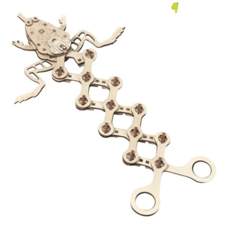 Grenouille Modèle 3D MR PLAYWOOD en bois