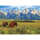 Grand Teton National Park, Wyoming USA - EUROGRAPHICS