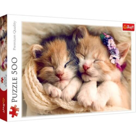 Sleepy Kittens