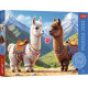 LAMAS COLORES