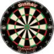 Cible de Fléchettes Winmau Diamond Plus