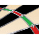 Cible de Fléchettes Winmau Diamond Plus
