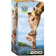 Eurographics Girafes 250-pièces