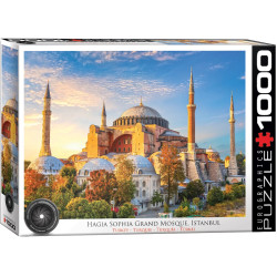 Hagia Sophia Grand Mosque, Istanbul, Turquie