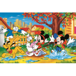 40e Anniversaire - Jouer Dans Les Flaques D'Eau - Disney Mickey Mouse Et Ses Amis
