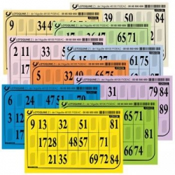 500 CARTONS LOTO RIGIDES